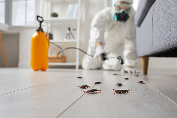 Commercial Kitchen Cockroach Control in Oak Hills